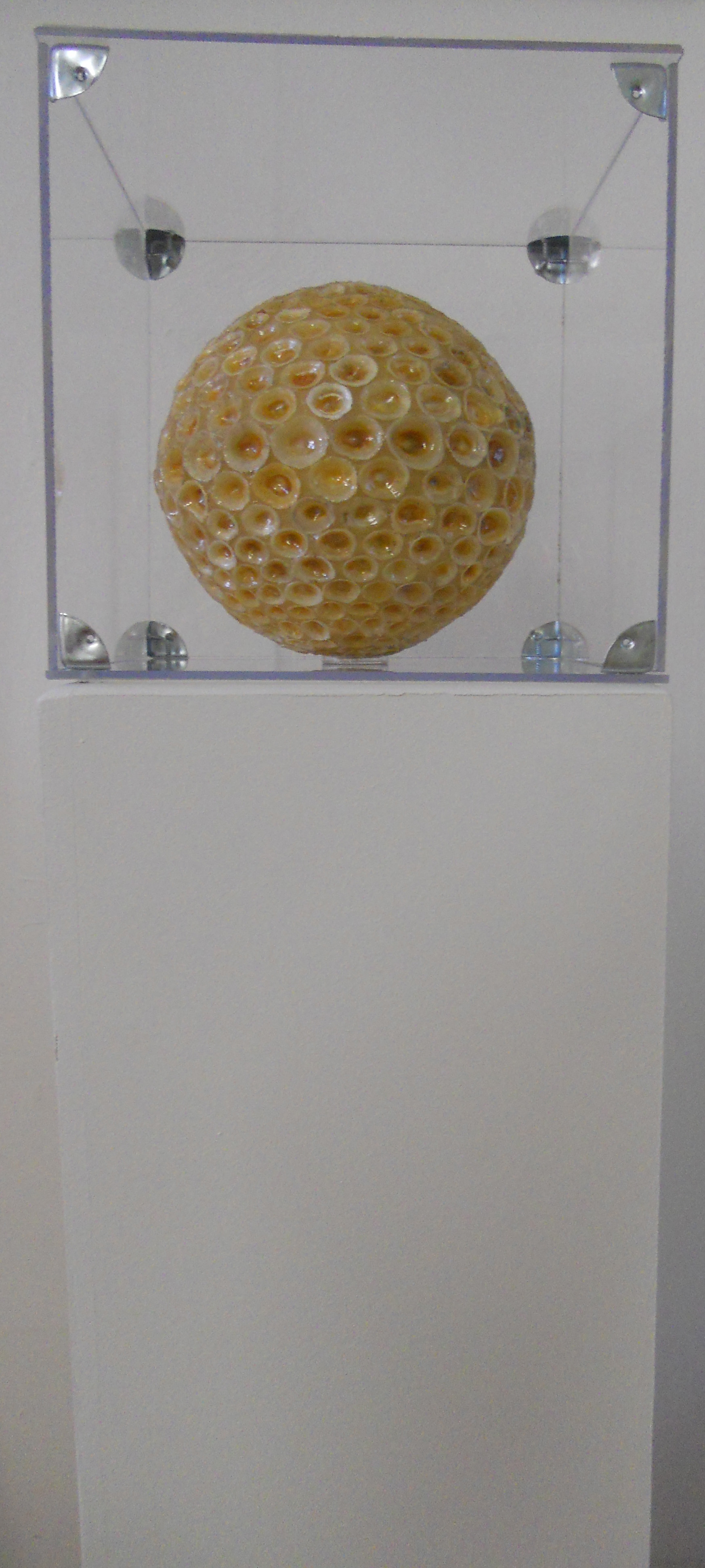 MW 13 (Hohe Aufl&ouml;sung)